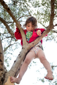 3-6 years old girl with red jacket climbing barefoot on olive tree 3-6 years old girl with red jacket climbing barefoot on olive tree