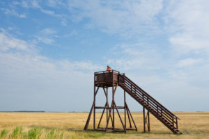 wooden observation tower on a field wooden observation tower on a field