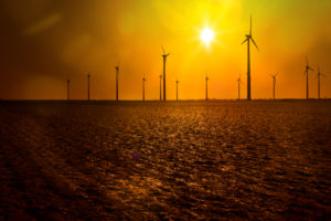 Wind turbines in the yellow backlight of the sun on a field Wind turbines in the yellow backlight of the sun on a field