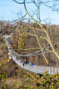 Germany, Saxony-Anhalt, Upper Harz, suspension bridge TitanRT in autumn, Rappbodetalsperre, resin.