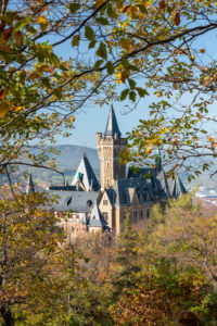 Germany, Saxony-Anhalt, Wernigerode, view of the castle Wernigerode, colorful leaves, resin.