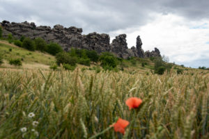 Germany, Saxony-Anhalt, Weddersleben, Teufelsmauer, mini-mountains made of sandstone between Blankenburg and Ballenstedt in the UNESCO Global Geopark Harz, has been a protected area since 1833. Germany, Saxony-Anhalt, Weddersleben, Teufelsmauer, mini-mountains made of sandstone between Blankenburg and Ballenstedt in the UNESCO Global Geopark Harz, has been a protected area since 1833.