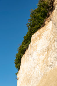 Deutschland, Mecklenburg-Vorpommern, Sassnitz, Kreidefelsen, Wissower Klinken, Bäume stehen am Abgrund, Nationalpark Jasmund, Unesco-Weltnaturerbe, Ostsee Deutschland, Mecklenburg-Vorpommern, Sassnitz, Kreidefelsen, Wissower Klinken, Bäume stehen am Abgrund, Nationalpark Jasmund, Unesco-Weltnaturerbe, Ostsee