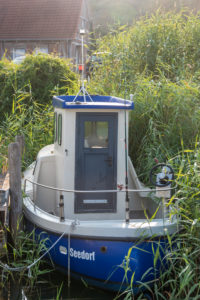 Deutschland, Mecklenburg-Vorpommern, Seedorf, ein altes Fischerboot ankert versteckt im Schilf, Ostsee, Insel Rügen Deutschland, Mecklenburg-Vorpommern, Seedorf, ein altes Fischerboot ankert versteckt im Schilf, Ostsee, Insel Rügen