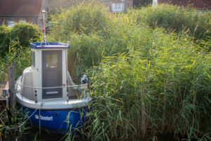 Deutschland, Mecklenburg-Vorpommern, Seedorf, ein altes Fischerboot ankert versteckt im Schilf, Ostsee, Insel Rügen Deutschland, Mecklenburg-Vorpommern, Seedorf, ein altes Fischerboot ankert versteckt im Schilf, Ostsee, Insel Rügen