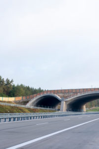 Deutschland, Sachsen-Anhalt, Colbitz, Wildtierbrücke, Autobahn 14, Neubau der A14 Nordverlängerung, Straßenbau
Deutschland, Sachsen-Anhalt, Colbitz, Wildtierbrücke, Autobahn 14, Neubau der A14 Nordverlängerung, Straßenbau