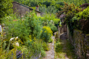 Alley in Saint-Antonin-Noble-Val Alley in Saint-Antonin-Noble-Val