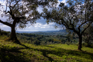 Landschaft bei Montefalco (Umbrien) Landschaft bei Montefalco (Umbrien)