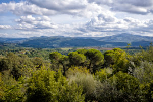 Landschaft bei Panicale (Umbrien) Landschaft bei Panicale (Umbrien)