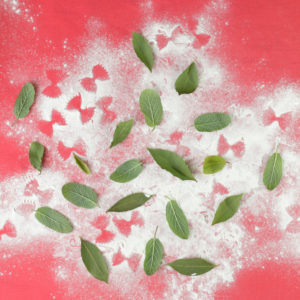 Sage, basil, flour and Farfalle pattern on red tablecloth Sage, basil, flour and Farfalle pattern on red tablecloth