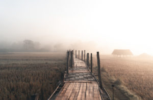 Thailand, morning mood. Bamboo walkway, way into the unknown Thailand, morning mood. Bamboo walkway, way into the unknown