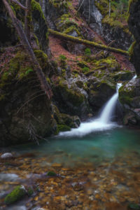 Waterfall in the forest Waterfall in the forest