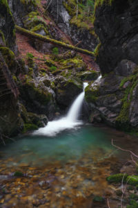 Waterfall in the forest Waterfall in the forest