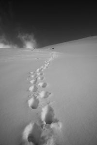 Footprints in the snow, winter, mountain Footprints in the snow, winter, mountain