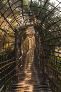 Northern Thailand, temple complex, bamboo bridge Northern Thailand, temple complex, bamboo bridge