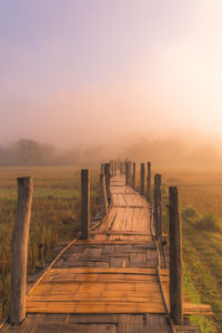 Thailand, morning mood. Bamboo walkway, way into the unknown Thailand, morning mood. Bamboo walkway, way into the unknown