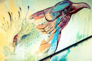 Graffiti on wall with bird heads, raven and eagle Graffiti on wall with bird heads, raven and eagle