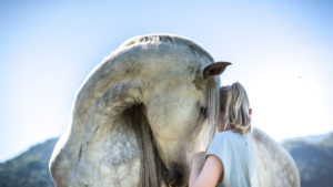 Grey horse and girl with blond hair, intimate and familiar gesture Grey horse and girl with blond hair, intimate and familiar gesture