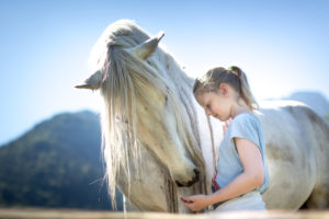 Grey horse and girl with blond hair Grey horse and girl with blond hair