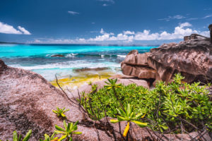 Amazing granite boulders in the jungle of Anse Source d'Argent on La Digue Island, Seychelles. Amazing granite boulders in the jungle of Anse Source d'Argent on La Digue Island, Seychelles.
