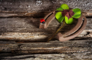 Lucky charm on wood Lucky charm on wood