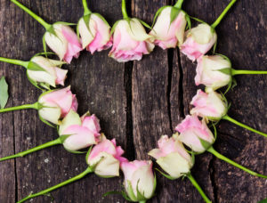 Roses, heart, wood Roses, heart, wood