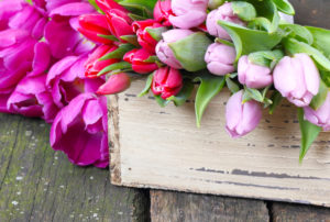 Tulips on wooden table Tulips on wooden table