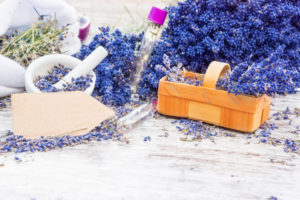 Aromatic plant lavender with label Aromatic plant lavender with label