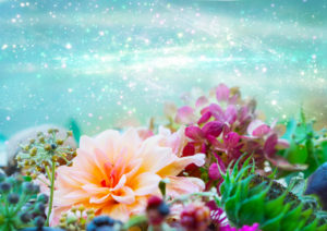Greetings card, flower decoration with dahlia and hydrangea, Bokeh background Greetings card, flower decoration with dahlia and hydrangea, Bokeh background