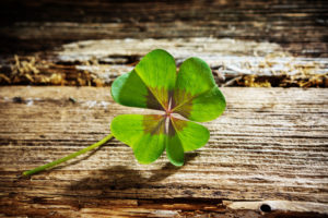 4-leaved cloverleaf on wood with copy space 4-leaved cloverleaf on wood with copy space