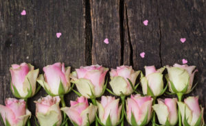 Old pink roses and hearts on wood for Valentine's Day Old pink roses and hearts on wood for Valentine's Day