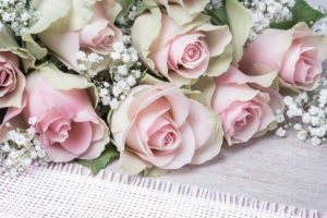 Pink roses and gypsophila, greeting card Valentine's Day Pink roses and gypsophila, greeting card Valentine's Day