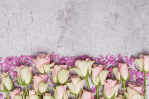 Roses and decorative stones, greeting card Valentine's Day, Women's Day Roses and decorative stones, greeting card Valentine's Day, Women's Day