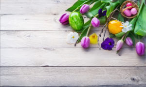 Easter background, spring flowers and easter eggs on wood Easter background, spring flowers and easter eggs on wood