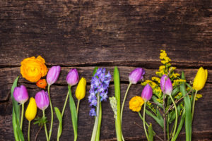 Colorful spring flowers on wood Colorful spring flowers on wood