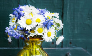 Daisies, grape hyacinth and forget-me-not, spring bouquet in front of wood Daisies, grape hyacinth and forget-me-not, spring bouquet in front of wood