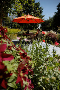 Peaceful garden view with flowers and decking furniture