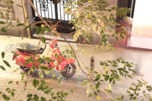 Red Vespa on pavement behind branches Red Vespa on pavement behind branches