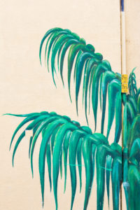 Palmenblätter an Hauswand gemalt Palmenblätter an Hauswand gemalt