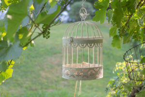 Vogelkäfig im Garten Vogelkäfig im Garten