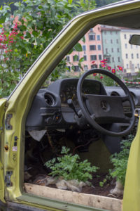 Urban Gardening, alte Autos in denen es blüht und wächst. Urban Gardening, alte Autos in denen es blüht und wächst.