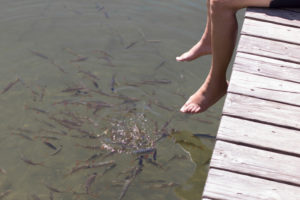Fische und Füße. Fische und Füße.