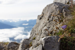 Perspectives from the Hafelekar on the Nordkette above Innsbruck