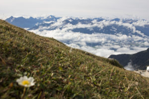 Perspectives from the Hafelekar on the Nordkette above Innsbruck