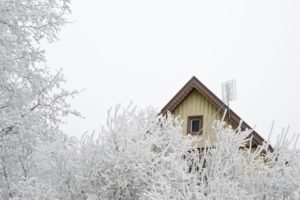 House, trees, winter, gable, House, trees, winter, gable,