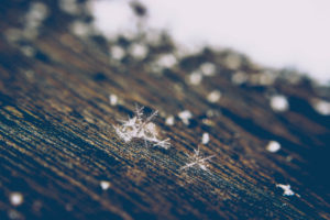 Snowflakes, close-up Snowflakes, close-up