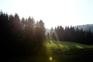 Germany, Bavaria, Mittenwald, meadow, back light Germany, Bavaria, Mittenwald, meadow, back light