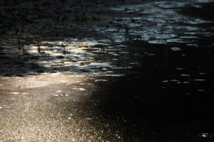 Lake, water, silt Lake, water, silt