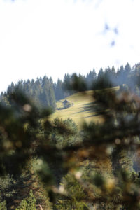 Germany, Bavaria, Mittenwald, meadow, hill, hut Germany, Bavaria, Mittenwald, meadow, hill, hut