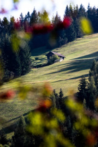 Germany, Bavaria, Mittenwald, meadow, hill, hut Germany, Bavaria, Mittenwald, meadow, hill, hut